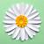 paper daisy template