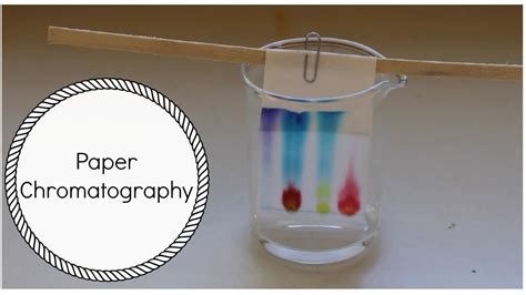 Paper Chromatography Experiment Introduction