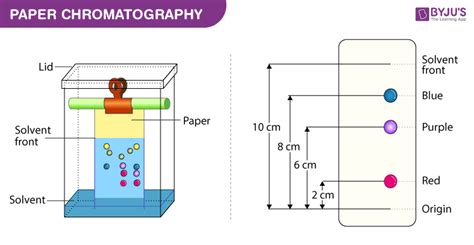 Paper Chromatography Grade 8
