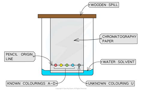 Paper Chromatography Practical
