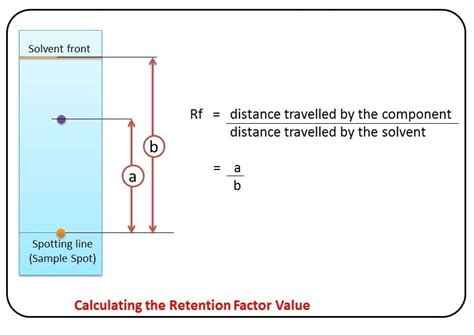 Paper Chromatography Rf Calculation