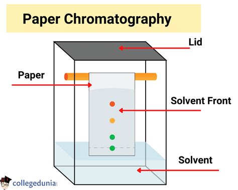 Paper Chromatography Technique