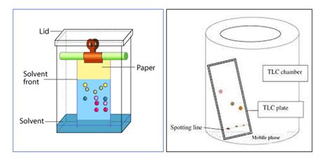 Paper Chromatography Tlc