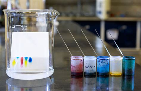 Paper Chromatography Use Pen