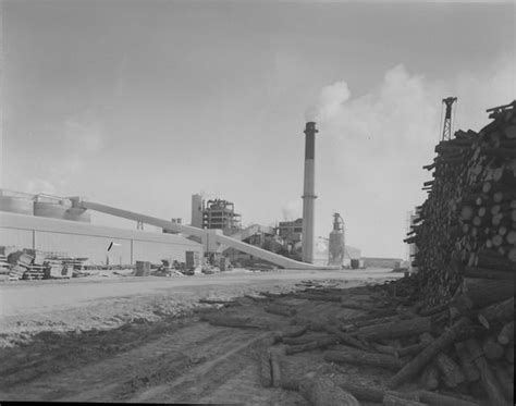 Paper Mill Evadale Tx