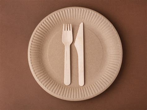 Paper Plates Meaning