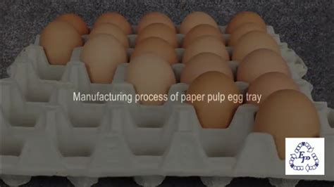paper pulp egg tray production eu