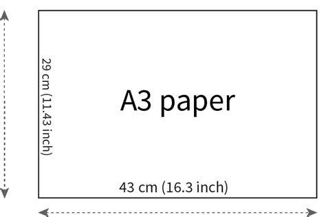 paper size of a3