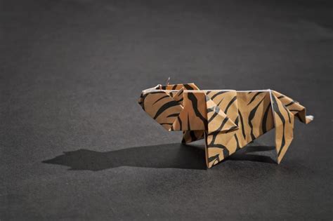 Paper Tigers Definition