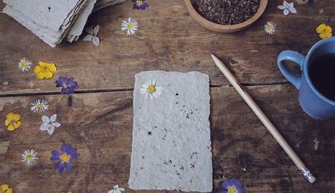 Papier Graine Fleur Activité Manuelle , s En Pour Enfants