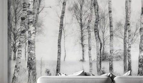 Papier Peint Foret Noir Et Blanc Panoramique Nature Forêt