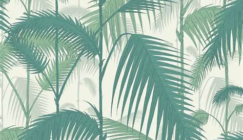 Papier Peint Palm Vert Inspiration Tropicale Jungle Cole
