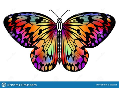 stickermuralpapillonviolet.jpg (600×600) Tatouage papillon violet