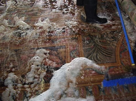 papillon rug cleaning