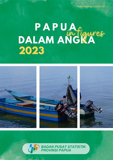 papua dalam angka 2024