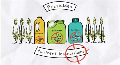 par quoi remplacer les pesticides