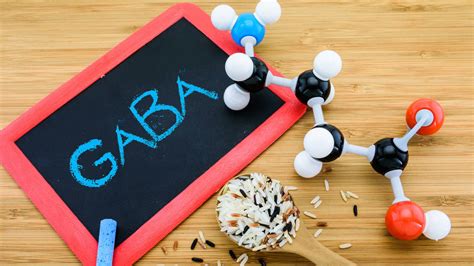 Para Q Sirve El Gaba
