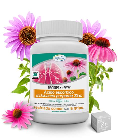 Para Que Sirve Acido Ascorbico Echinacea Purpurea Zinc