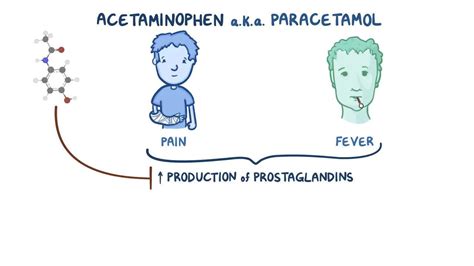 Paracetamol How Does It Work In The Body