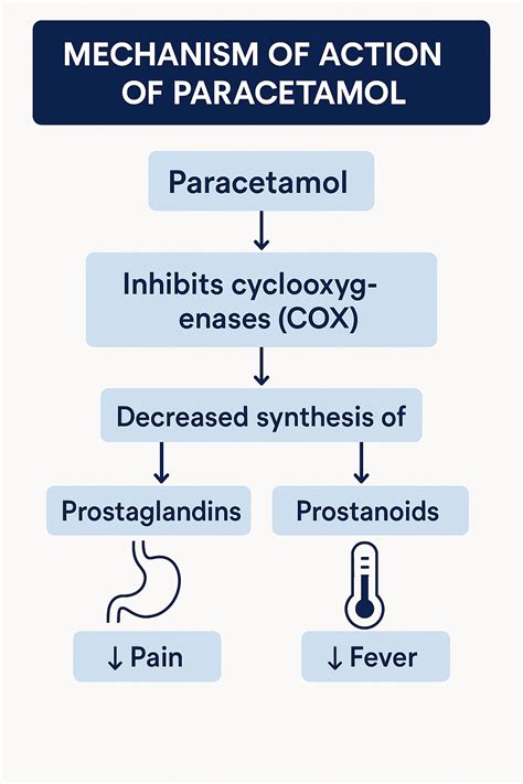 Paracetamol Mechanism Of Action Emc