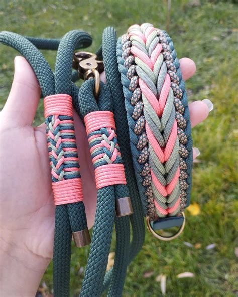 Image of Paracord Dog Collar