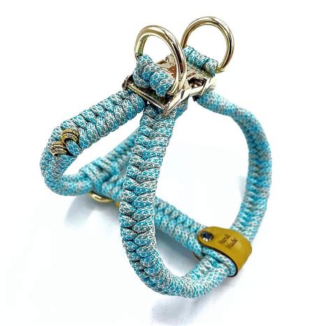 Unleash Your Furry Companion's Freedom: Discover the Comfort and Safety of a Paracord Dog Harness