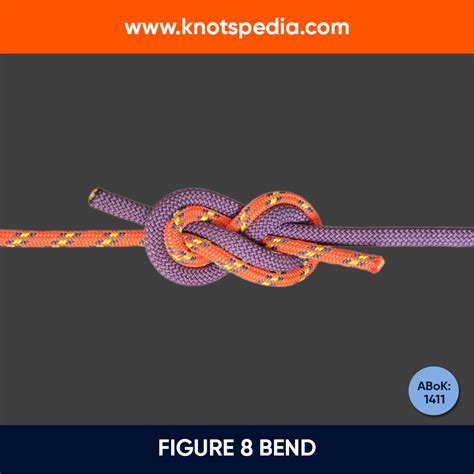 Unraveling the Enigma: The Paracord Figure 8 Knot's Tale of Strength and Resilience