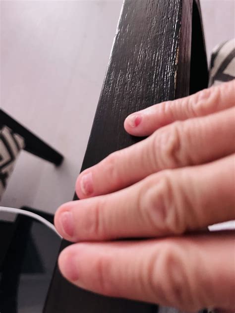 paradise nails hallandale