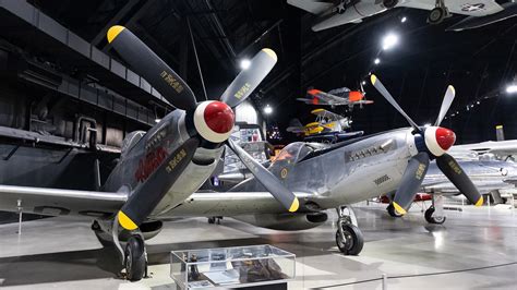 paradise secret daytons