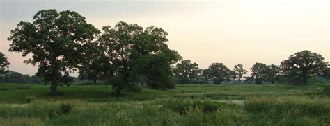 paradise valley public hunting dousman