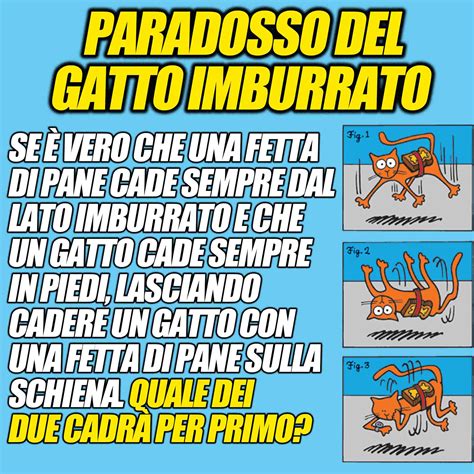 +14 Paradosso Del Gatto Imburrato 2023