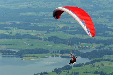 paraglider