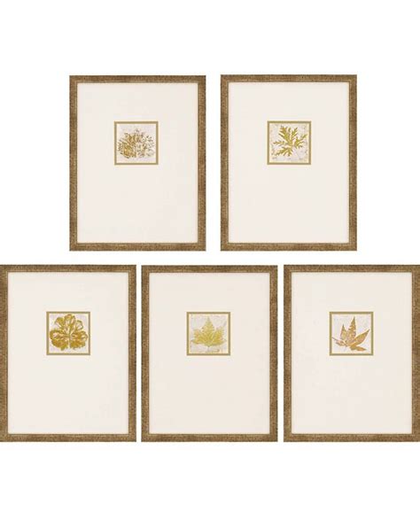 Paragon Morphologies Framed Wall Art - Set Of 5