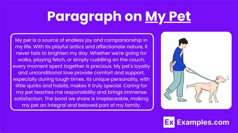 paragraph about pets