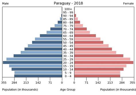 paraguay population pyramid 2020