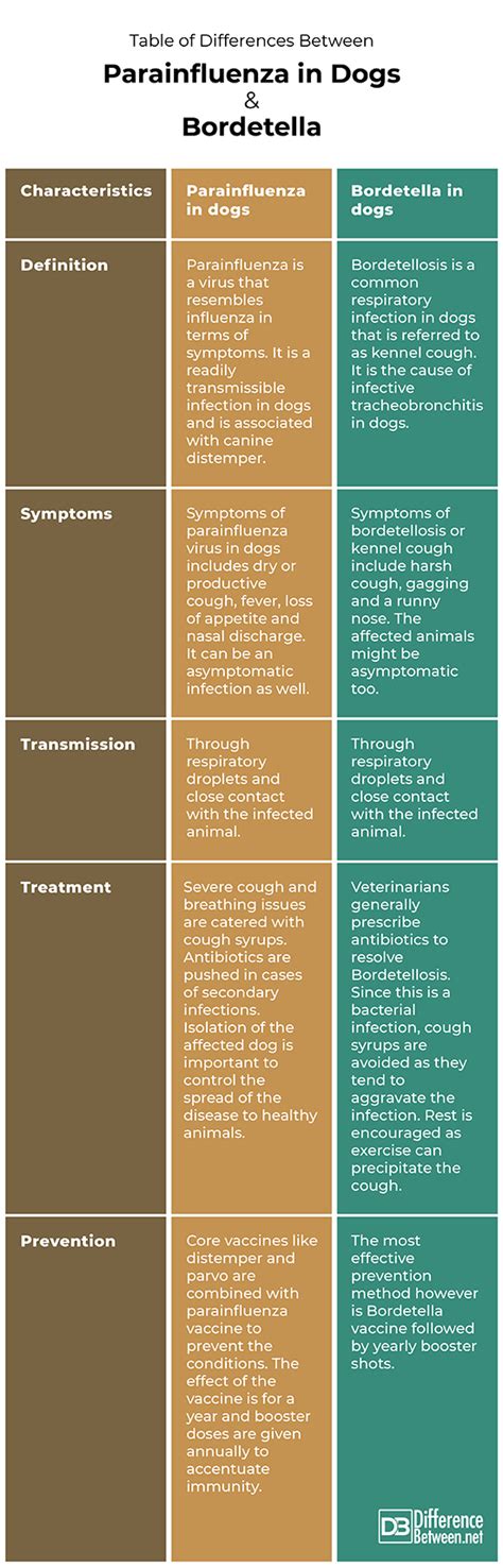 parainfluenza vs canine influenza