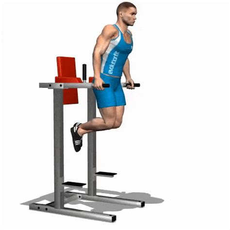 Parallel Bar Dips Gif