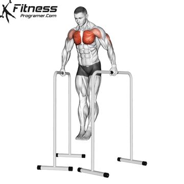 Parallel Bar Workout Routine