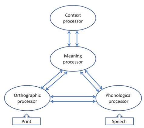 parallel distributed processing model
