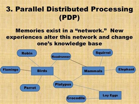 parallel distributed processing model example