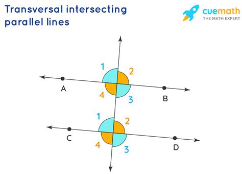 Parallel Lines Intersected by a Transversal