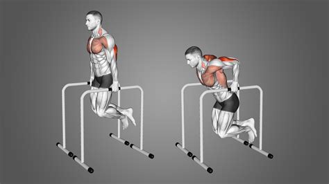 Parallel Tricep Dips