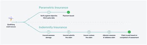 Parametric Insurance Solutions