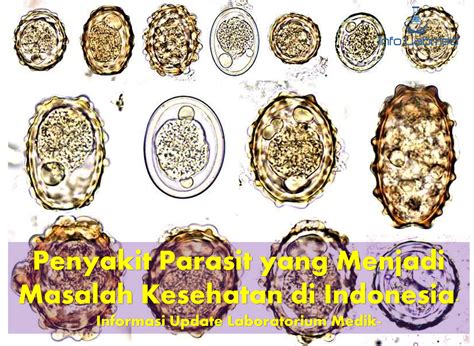 Parasitologi Parasit, Hospes dan Lingkungan Seri Edukasi Teknologi