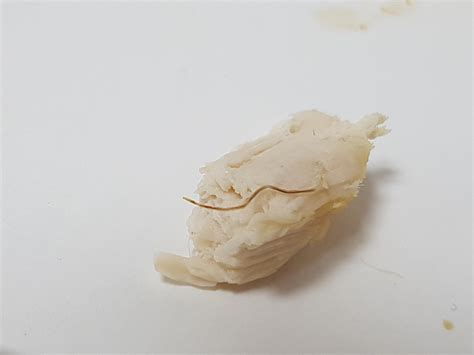 parasite in chicken breast
