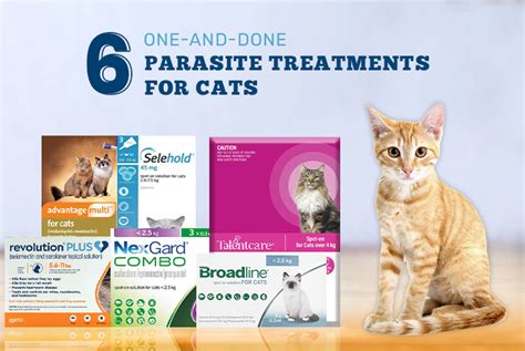 parasite protection for cats