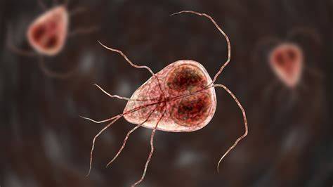 Natural guide to Giardia treatment and prevention in dogs Petsynse