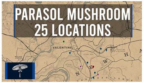 RDR2 Online Parasol Mushroom locations near Valentine