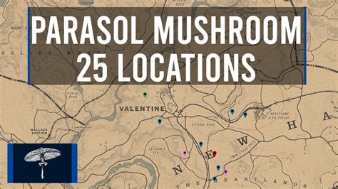 parasol mushrooms rdo