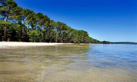 parc naturel du lac de biscarrosse